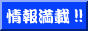 泉州ドットコム